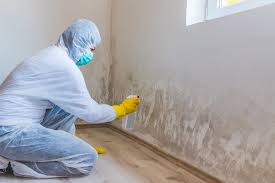 Why You Should Choose Our Mold Remediation Services in Las Quintas Fronterizas, TX